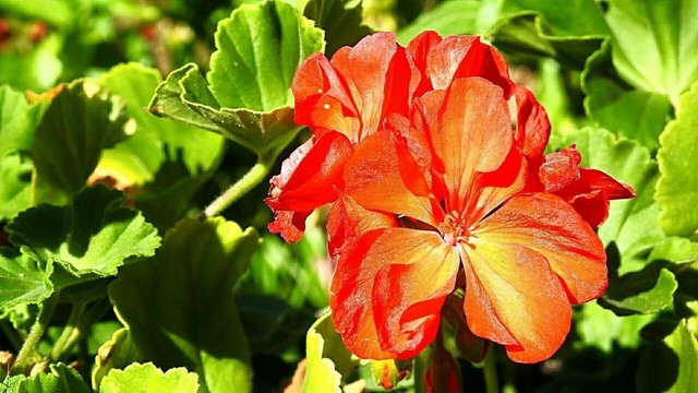 Csodálatos természet 09